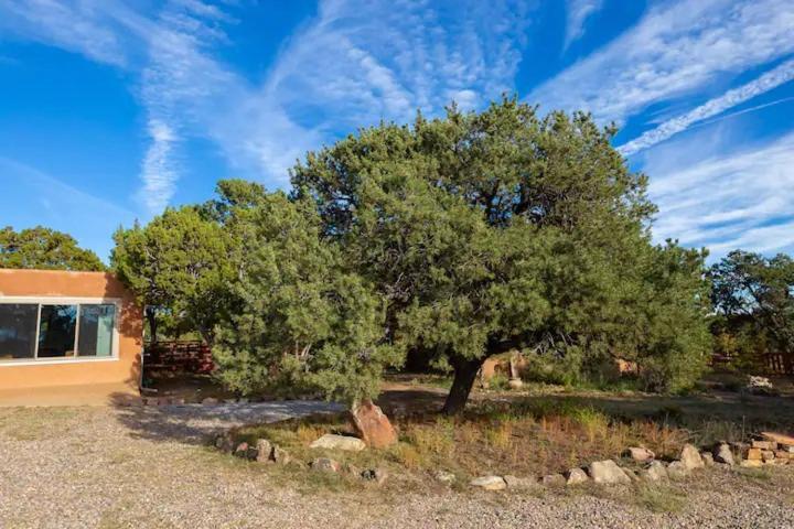 Canada de los AlamosPet Friendly Pinon Heaven住宿加早餐旅馆 外观 照片